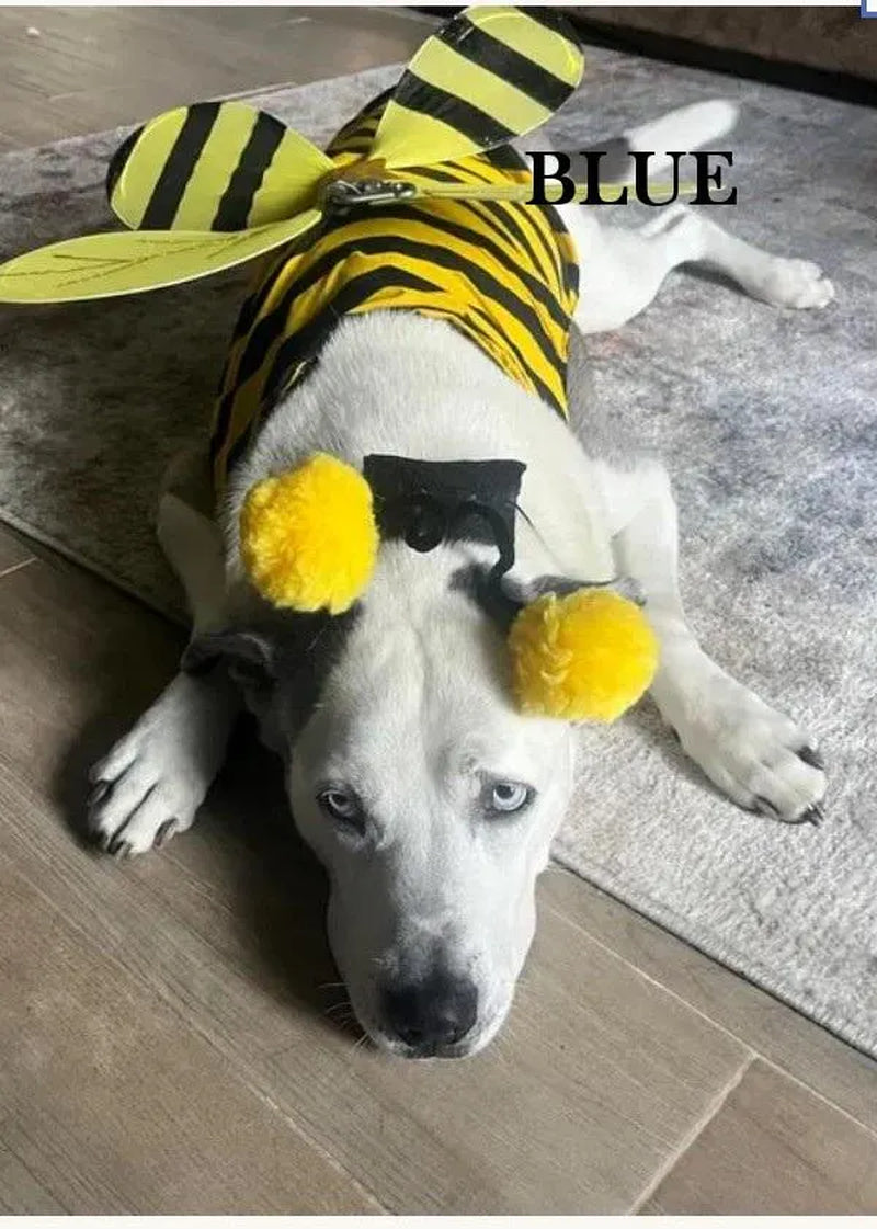 DOG COSTUME. "Bumble Bee" Dog Costume, Halloween for Pets,