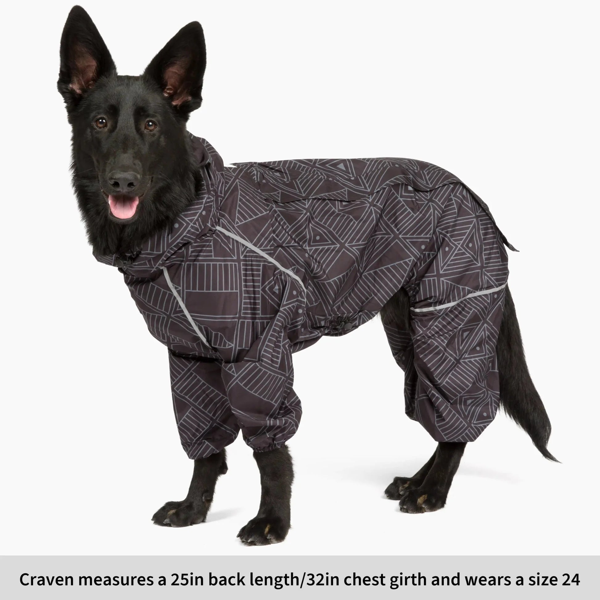 Puddle Jumper Dog Raincoats
